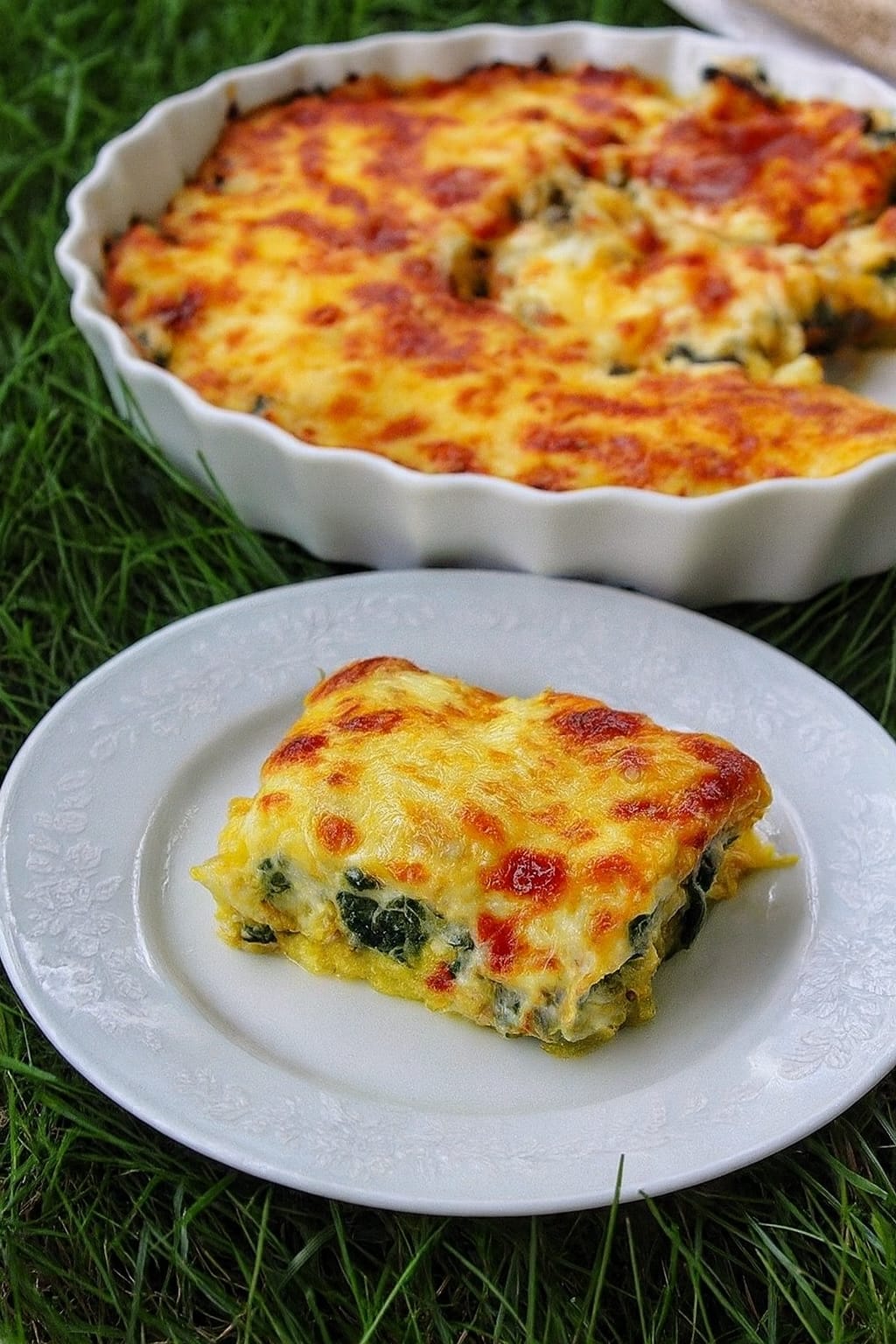 Ispanaklı Patatesli Graten Tarifi